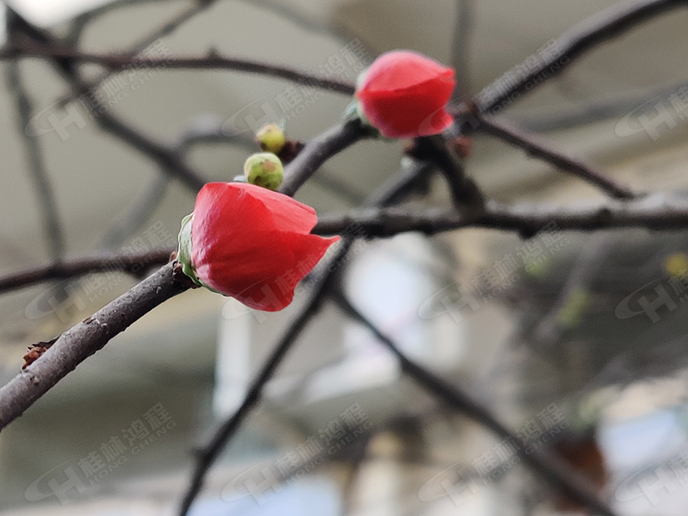 桂林鴻程花團(tuán)錦簇，滿園春色，邀您一起共賞春景，共商大計(jì)！