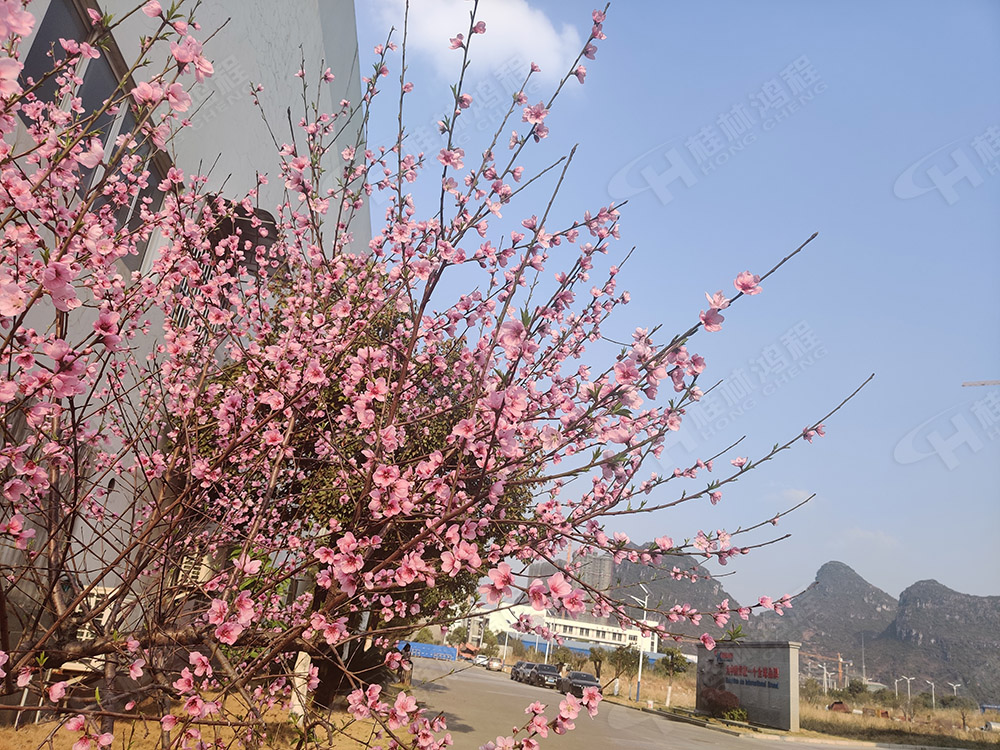 桂林鴻程花團(tuán)錦簇，滿園春色，邀您一起共賞春景，共商大計(jì)！